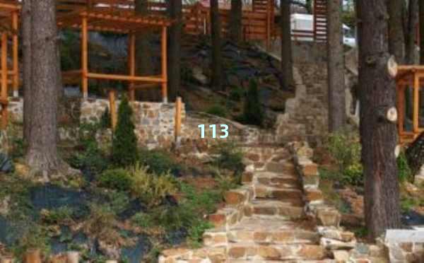 SEO优化工具：提升网站排名的必备利器