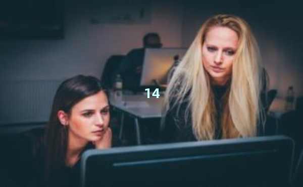 SEO优化者：让您的网站流量实现质的飞跃