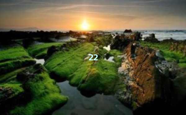 SEO优化的秘密，助力您的网站腾飞