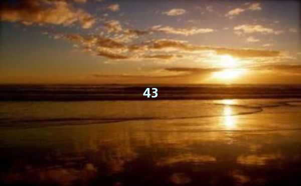 SEO优化排名系统：打造企业网站流量新引擎