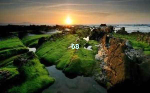 SEO优化网站关键词的终极指南：轻松提升网站排名