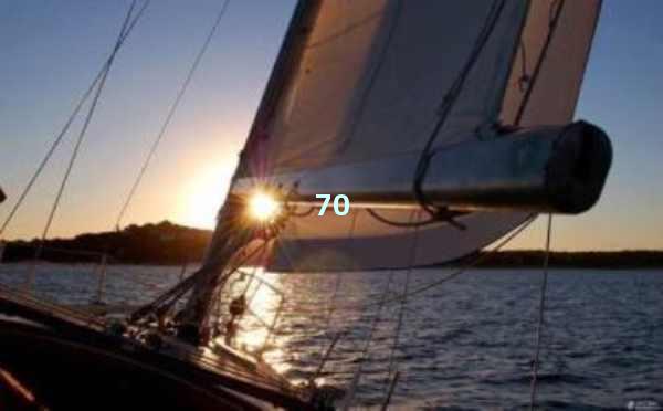 SEO优化论坛的秘诀：提升网站排名的终极指南