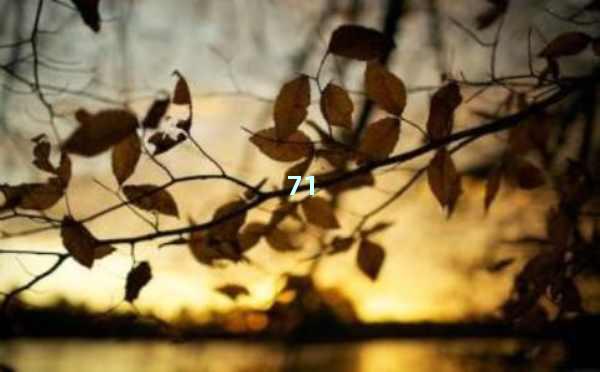 SEO优化软文，助力网站流量大幅提升