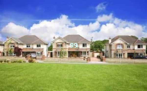 SEO优化的终极指南：如何让您的网站脱颖而出